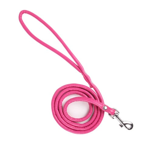 Pink Pet Leash