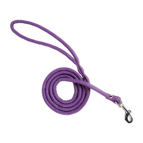 Purple Pet Leash