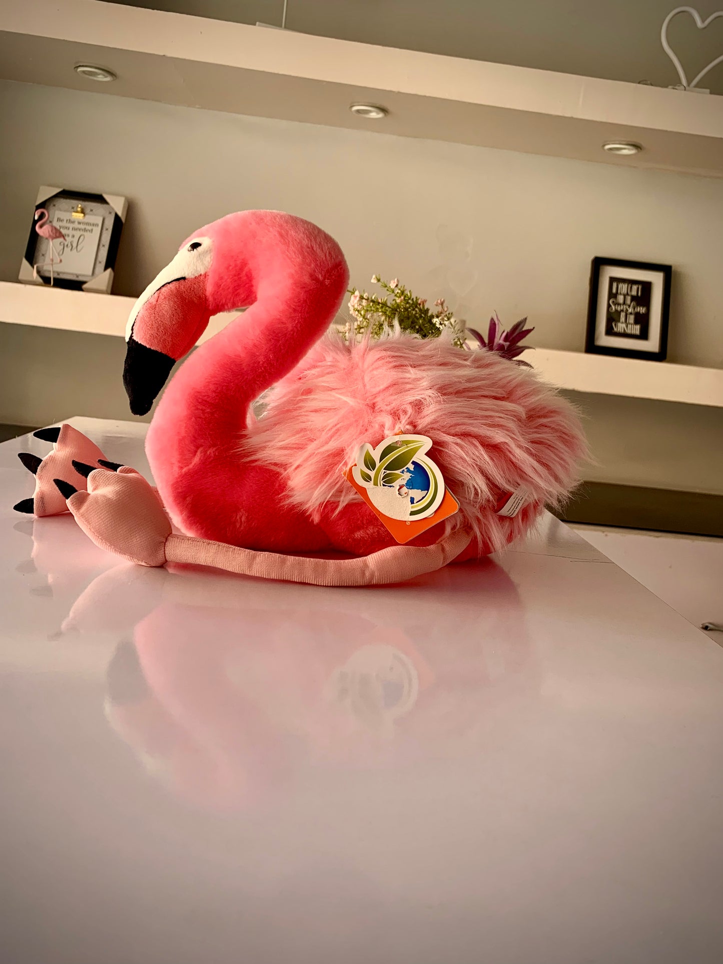Flamingo