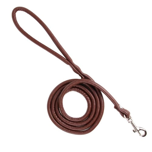 Brown Pet Leash